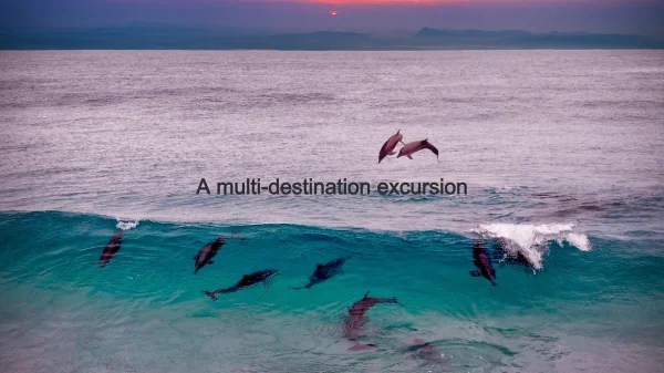 Private tours to Dunn’s River Falls & Dolphin Cove, Ocho Rios, Jamaica