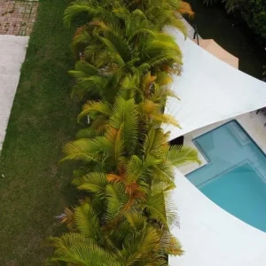 Private Transfers from Lucea to MBJ
