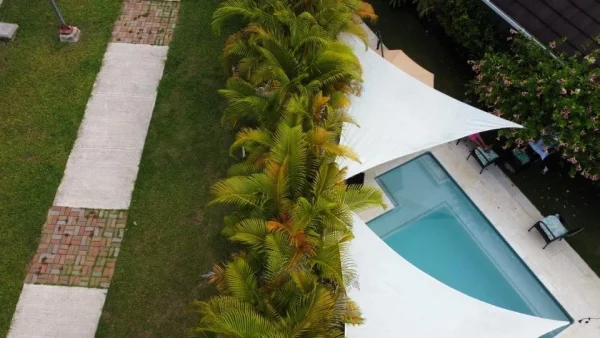 Private Transfers from Lucea to MBJ