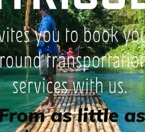 ROUNDTRIP - Private Transfers from MBJ to Treasure Beach