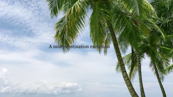Private tours to Pelican Bar, Black River Safari & Ys Falls Combo Tour Package