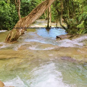 Private tours to Black River Safari & YS Falls Combo Tour Package