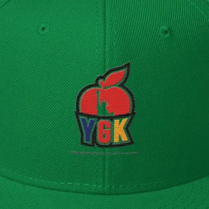 Snapback Hat