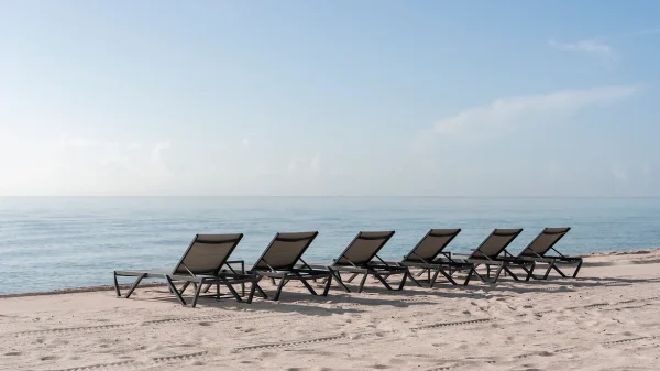 Private Transfers from MBJ to Kingston, Jamaica