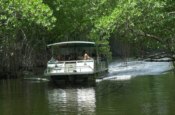 Private tours to YS Falls & Appleton Rum Factory Combo Tour Package