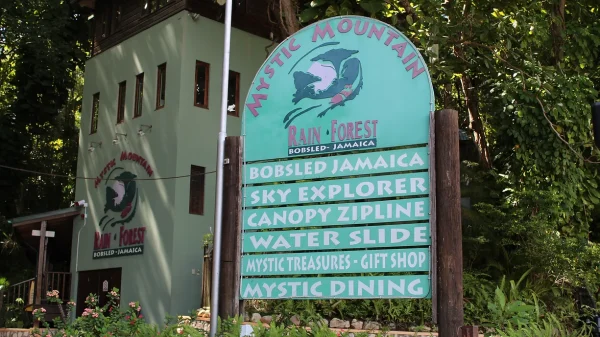 Private Tours to Mystic Mountain, Rainforest Adventures, Ocho Rios, Jamaica