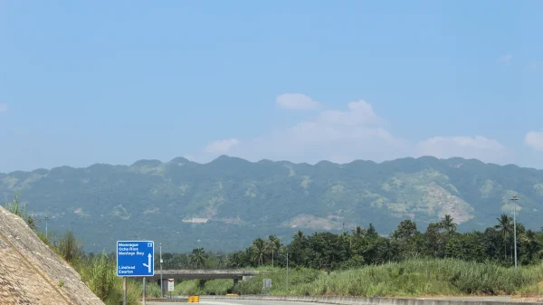 Private tours to Blue Mountains, Kingston, Jamaica
