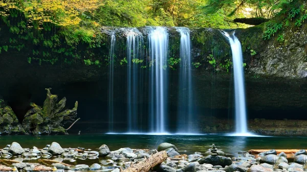 Private tours to Dunn’s River Falls & Horseback Riding, Ocho Rios, Jamaica